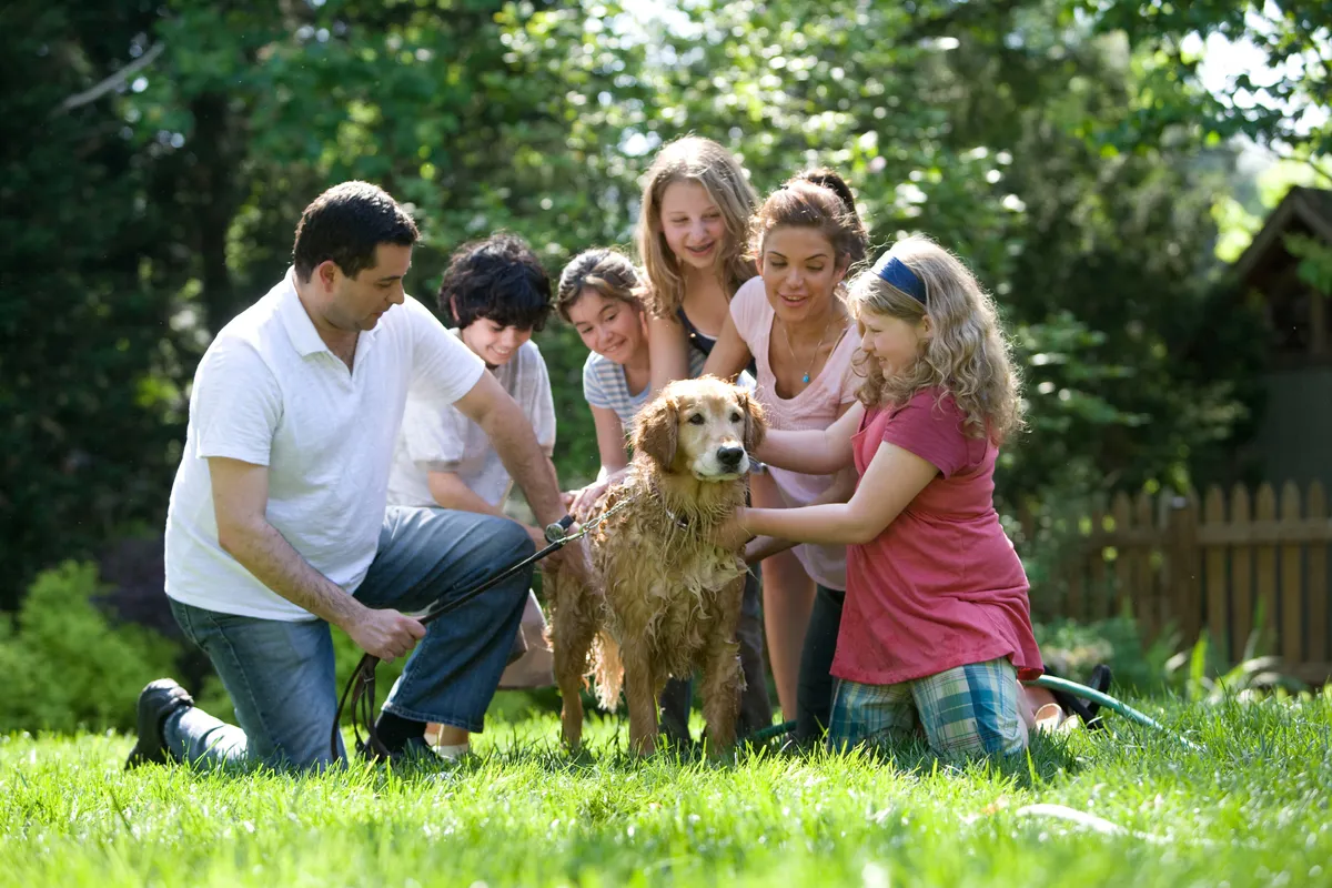 Family together with a dog making plans for disaster readiness